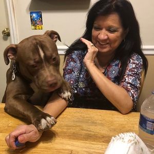 Meet your Posher, Priscilla